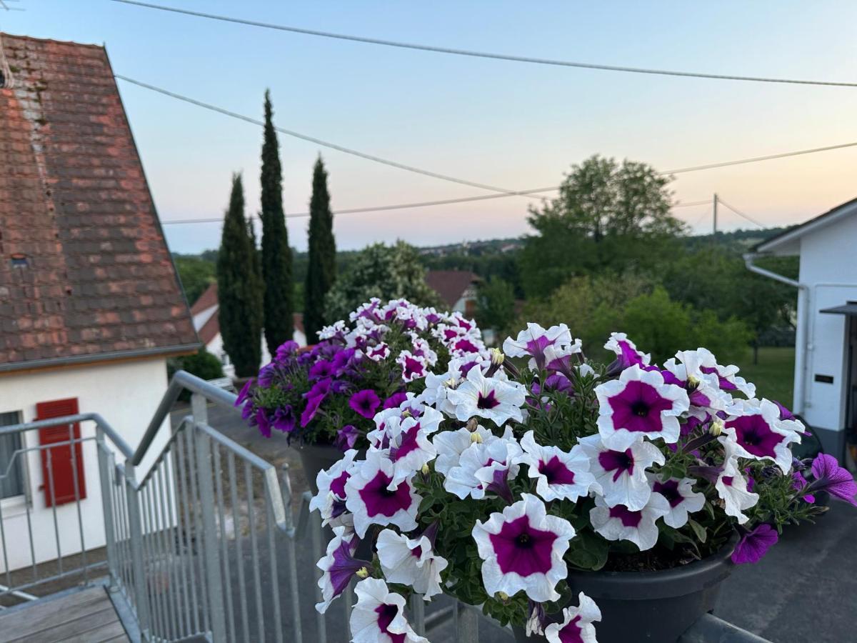 Ferienwohnung Au Parfum Des Roses Gunstett Exterior foto