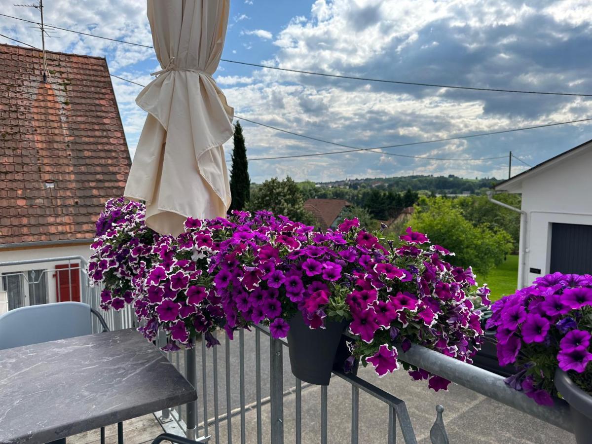 Ferienwohnung Au Parfum Des Roses Gunstett Exterior foto